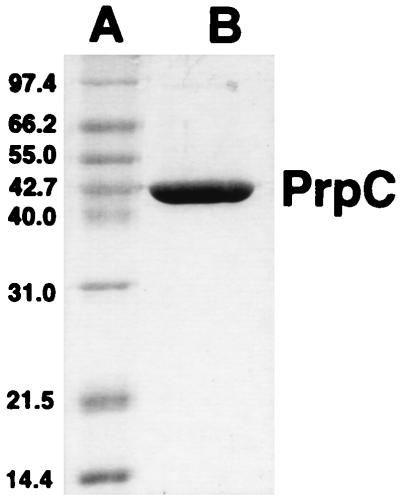 FIG. 7