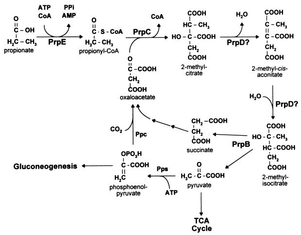 FIG. 8