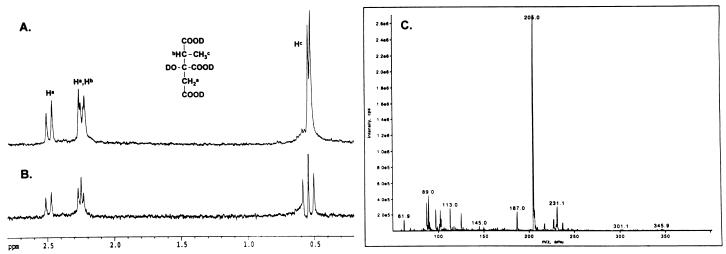 FIG. 6