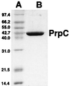 FIG. 7