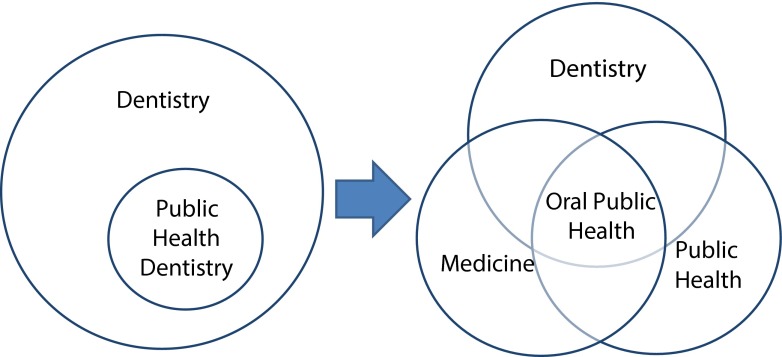 FIGURE 1—