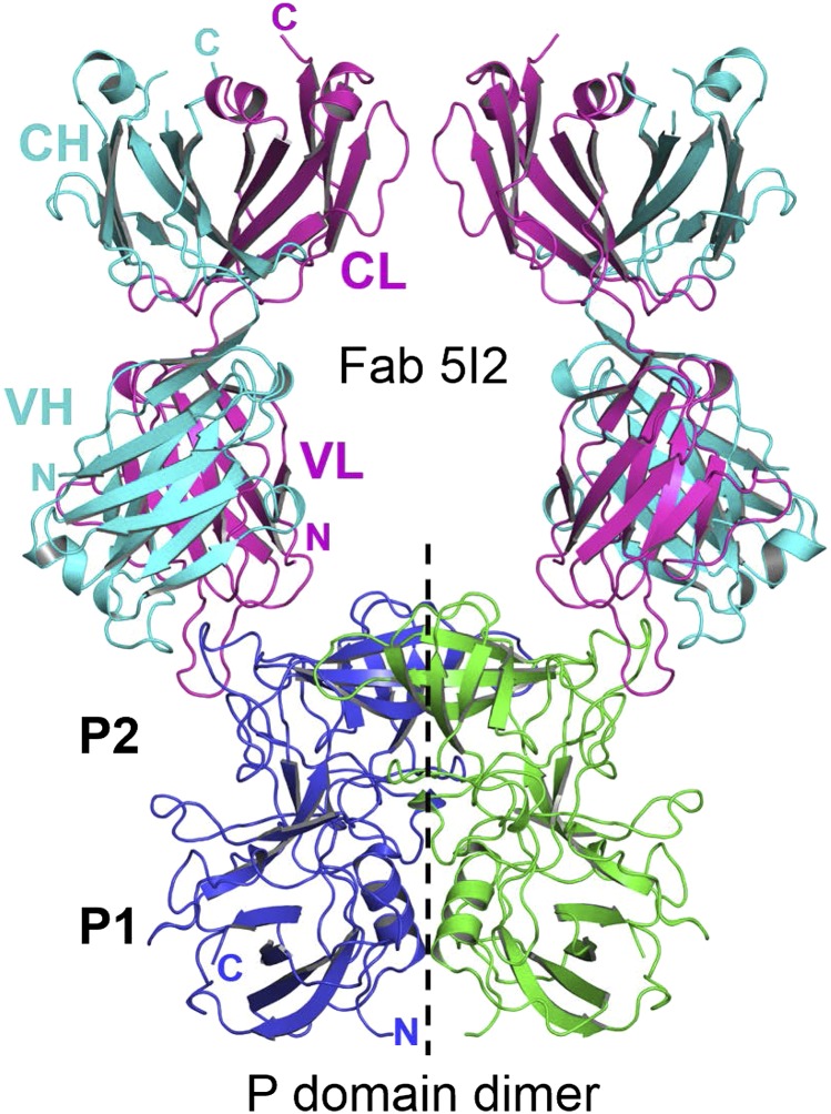 Fig. 2.