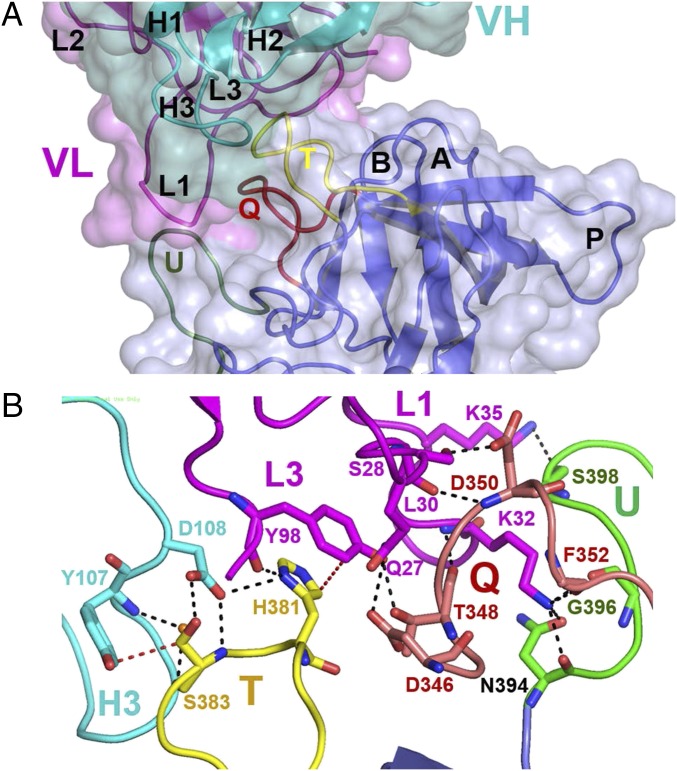 Fig. 3.