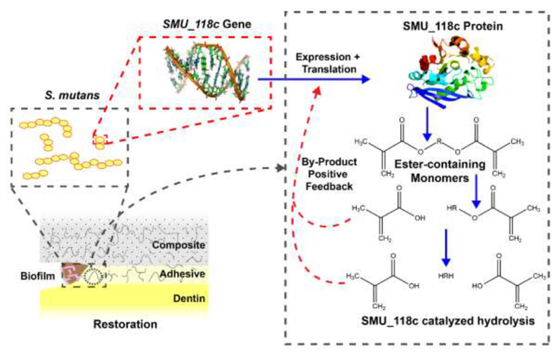 Figure 6: