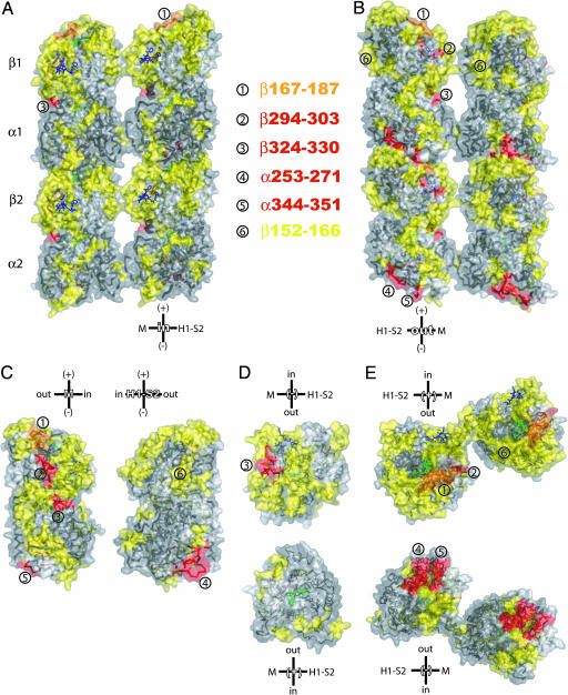 Fig. 3.