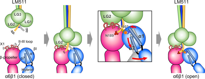 Fig. 7