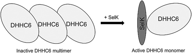 FIG. 7.