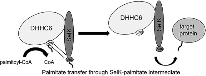 FIG. 6.