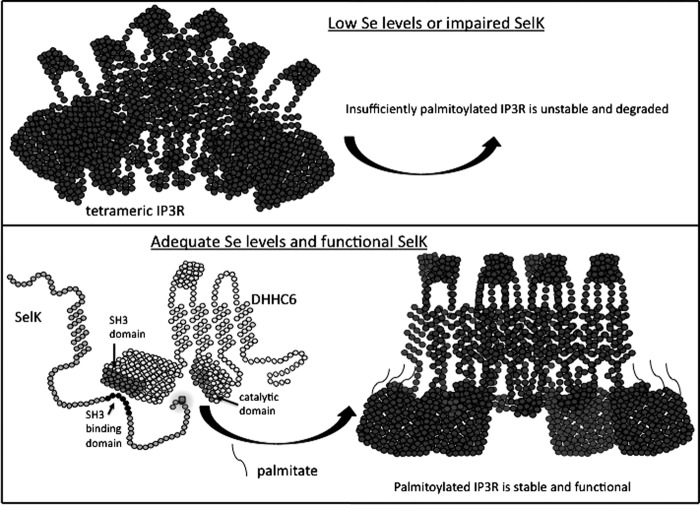 FIG. 3.