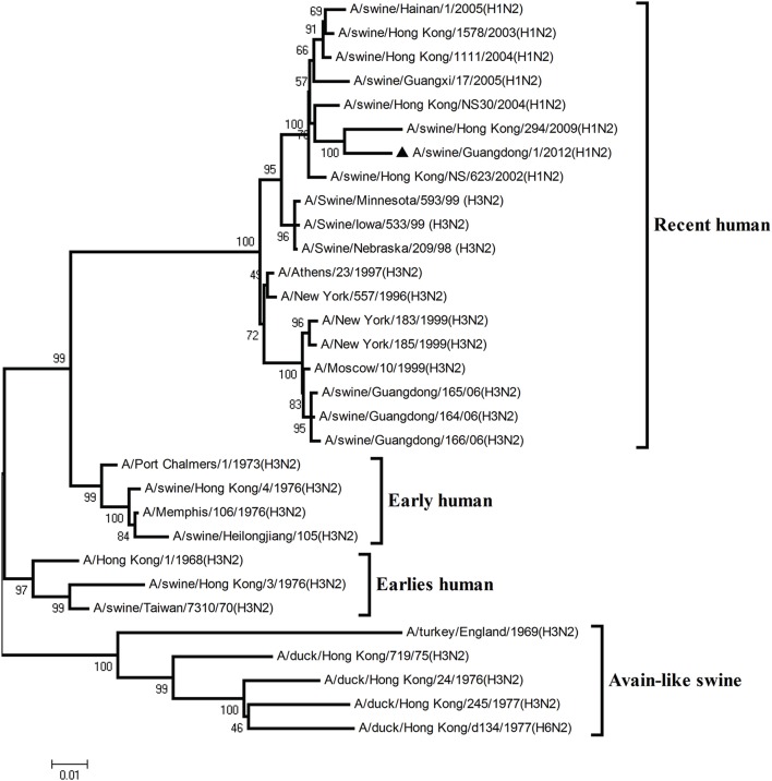 Figure 6