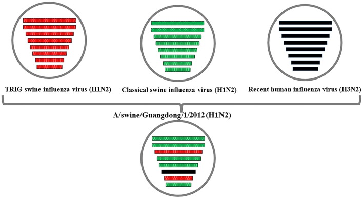 Figure 9