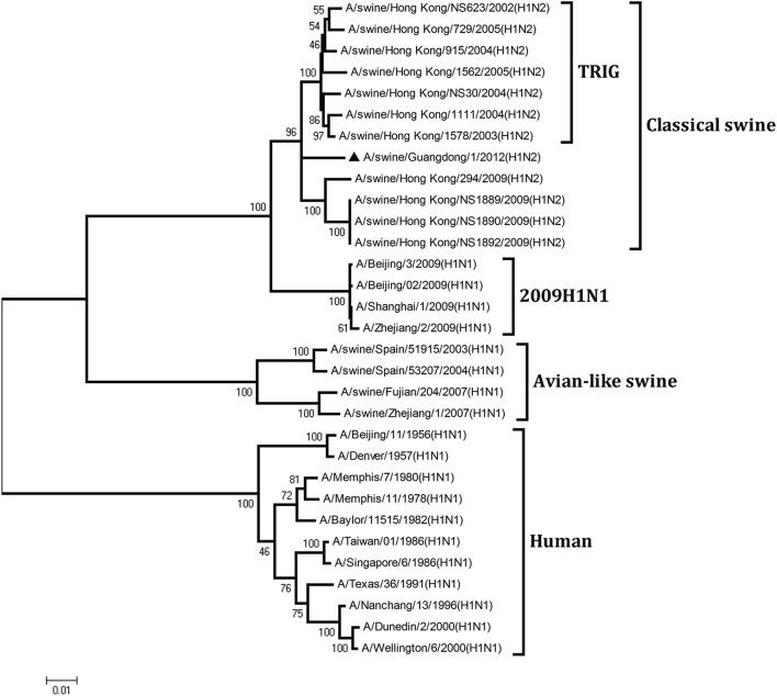 Figure 2