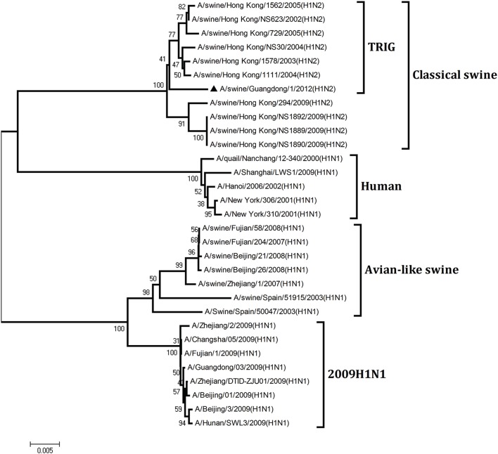 Figure 7