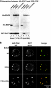 FIG. 8.