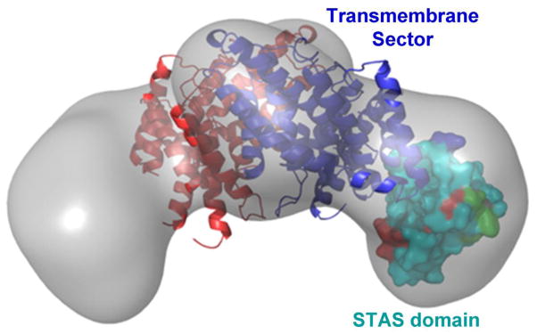 Fig. 2