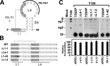 FIG. 8.