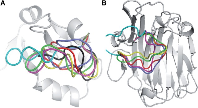 Fig. 9.