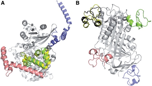 Fig. 6.