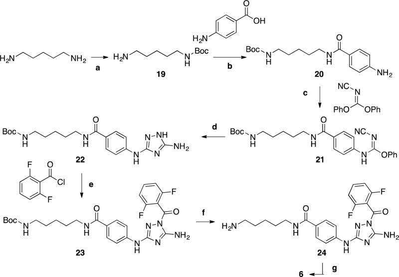 Scheme 2