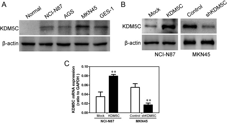 Figure 2.