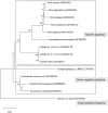 FIGURE 2