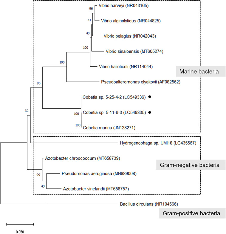 FIGURE 2