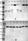 FIG. 7.