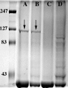 FIG. 6.
