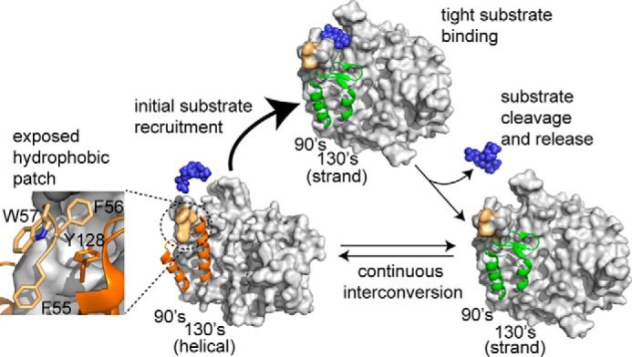 FIGURE 7.