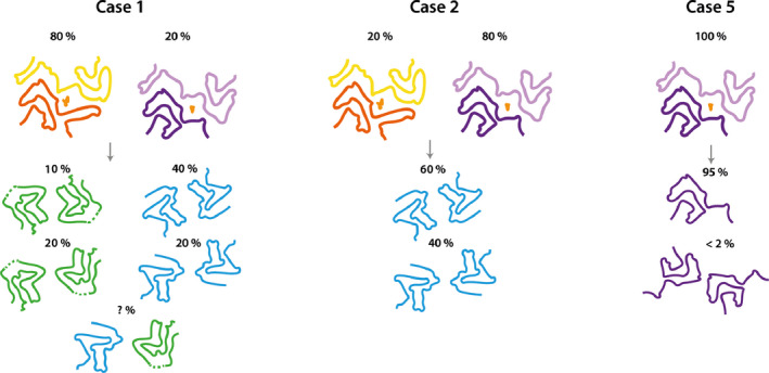 Fig. 6