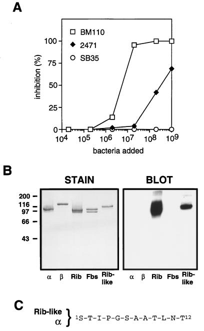 FIG. 5