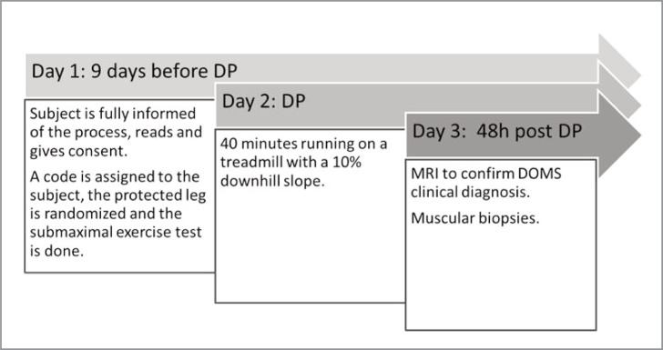 Figure 3A.