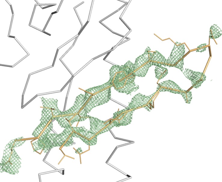 Figure 1—figure supplement 2.