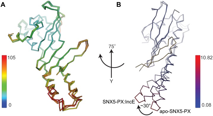 Figure 1—figure supplement 1.