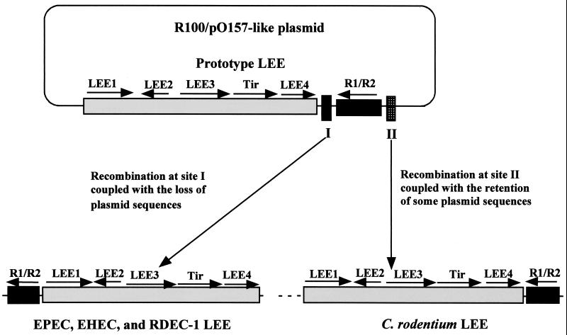 FIG. 5