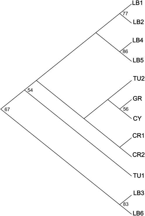 Fig. 5