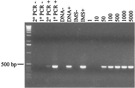 FIG.1.