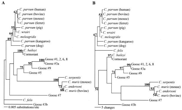 FIG.2.