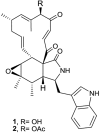 Fig 7