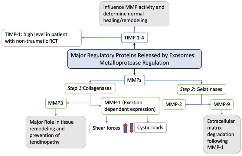 Figure 5: