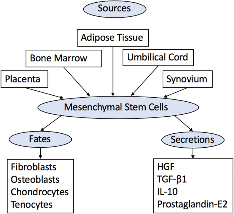 Figure 3: