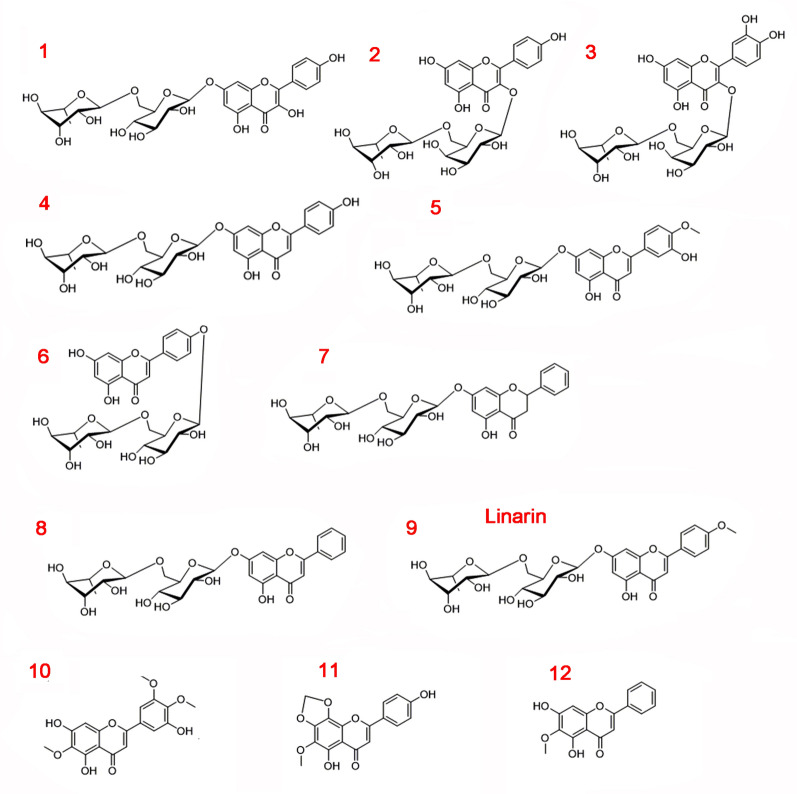 Fig. 1