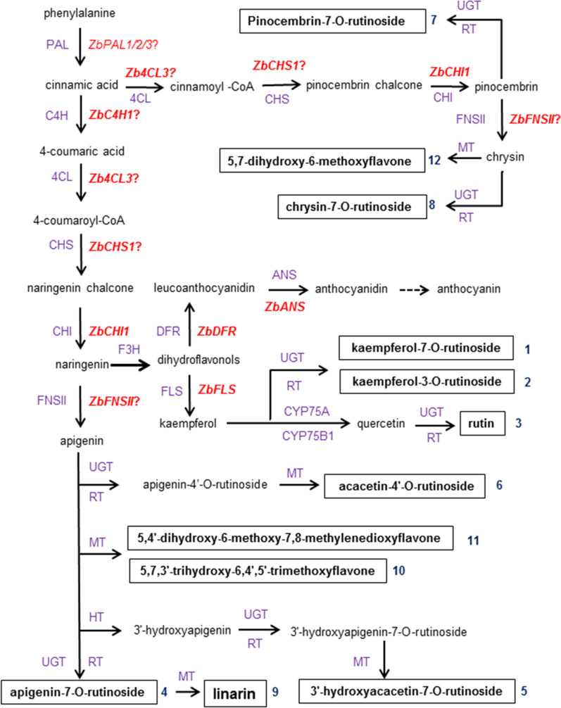 Fig. 6