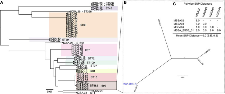 FIGURE 1