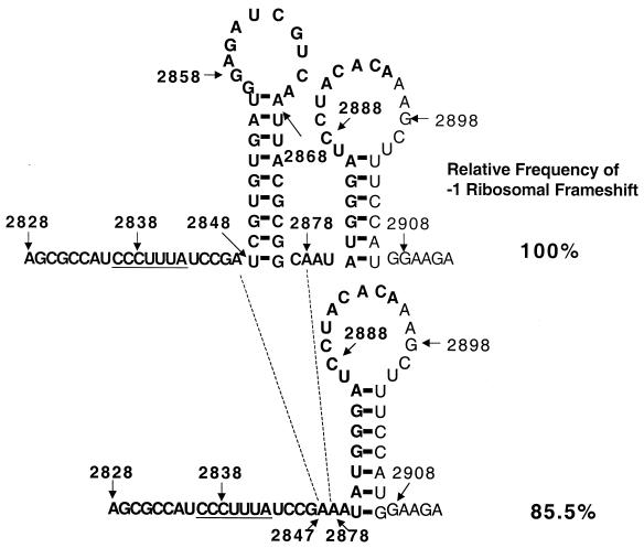 FIG. 4