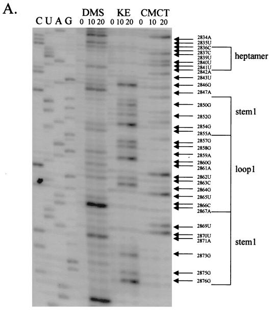 FIG. 5