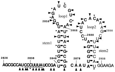 FIG. 6