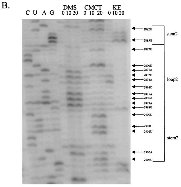 FIG. 5