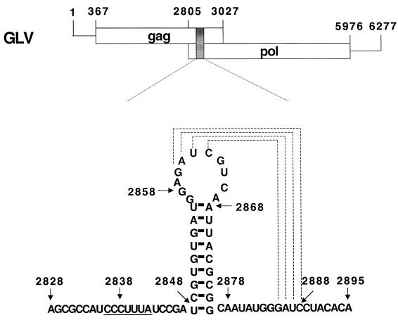 FIG. 1