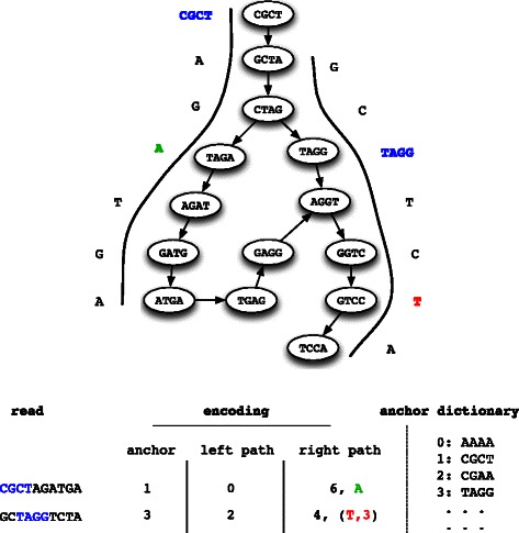 Fig. 2